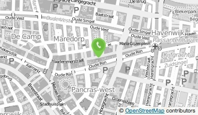 Bekijk kaart van Ziengs in Leiden
