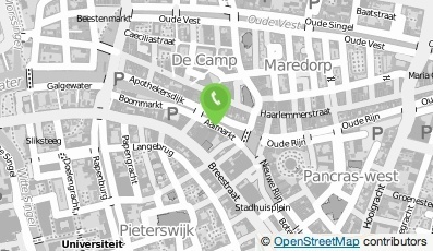 Bekijk kaart van McGregor in Leiden