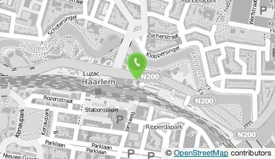 Bekijk kaart van Flynth in Haarlem