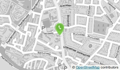 Bekijk kaart van InstalCenter Van Walsem in Rhenen