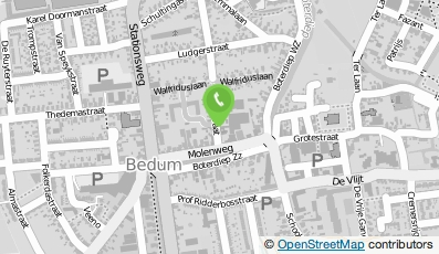 Bekijk kaart van Bloemenhuis Balkema V.O.F. in Bedum