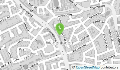 Bekijk kaart van Ronald Nienhuis Kunsthandel in Wageningen