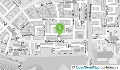 Bekijk kaart van Protean Management Solutions B.V. in Den Bosch
