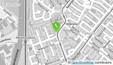 Bekijk kaart van Wilgen Holding B.V.  in Rotterdam
