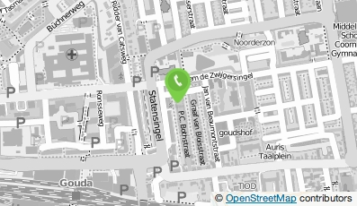 Bekijk kaart van Ron spuit- en stucadoorsbedrijf in Gouda
