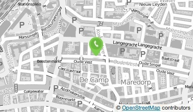 Bekijk kaart van Simplex Pharma  in Leiden