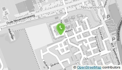 Bekijk kaart van Timmerbedrijf R. Borst  in Nieuwveen