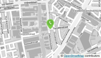 Bekijk kaart van Michelle Dujardin in Rijswijk (Zuid-Holland)
