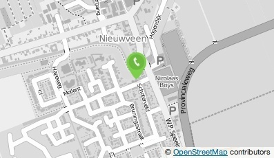 Bekijk kaart van Mr. H. Springintveld  in Nieuwveen