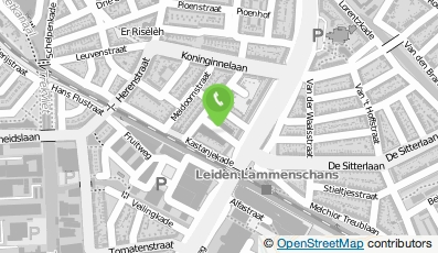 Bekijk kaart van Popschool Leiden in Leiden
