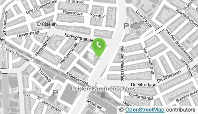 Bekijk kaart van Larix Media  in Leiden