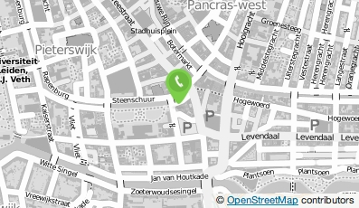 Bekijk kaart van youToo Services B.V. in Leiden