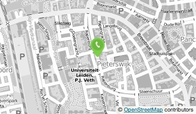 Bekijk kaart van Bernards/Visser Communicatie B.V. in Leiden