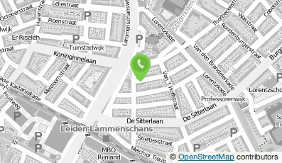 Bekijk kaart van Dataflair Productions in Leiden