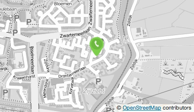 Bekijk kaart van De Reizende Kwast in Leiden
