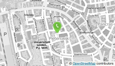 Bekijk kaart van Jobmotion in Leiden