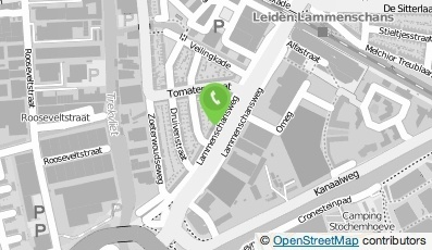 Bekijk kaart van Nemo Olivia  in Leiden