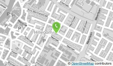 Bekijk kaart van TopWebService in Hillegom