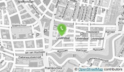 Bekijk kaart van Barend Suikerspin in Leiden