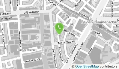 Bekijk kaart van Punt Drawing Support  in Leiden