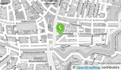 Bekijk kaart van Ivo van der Leek Makelaardij in Leiden
