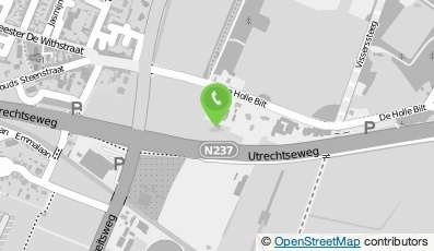 Bekijk kaart van Nieuw Steenwijk Holding B.V.  in De Bilt