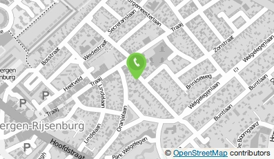 Bekijk kaart van Schildersbedrijf A. Ritmeijer in Driebergen-Rijsenburg