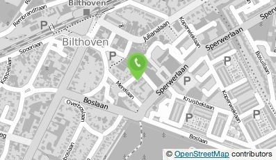 Bekijk kaart van Schildersbedrijf M. van der Veer in Bilthoven