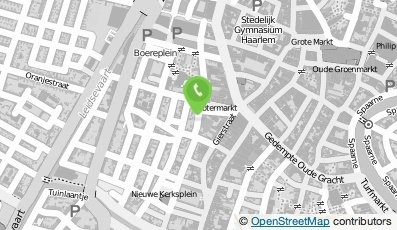Bekijk kaart van Dophertje & Zo  in Haarlem