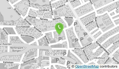 Bekijk kaart van Fysiotherapie Binnenhof in Bergen (Noord-Holland)