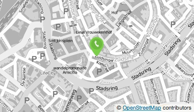 Bekijk kaart van Café/Bar 'De Singel' in Amersfoort