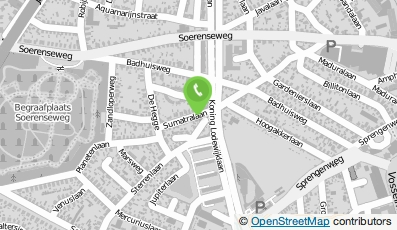 Bekijk kaart van Alles Rous in Zutphen