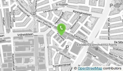 Bekijk kaart van DomainMasters in Delft