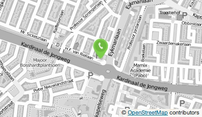 Bekijk kaart van Ninke Overbeek in Den Haag
