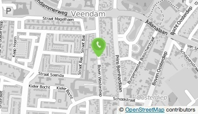 Bekijk kaart van Kiewiet Management B.V.  in Veendam
