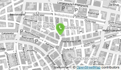 Bekijk kaart van De Zwarte Wolf in Leiden
