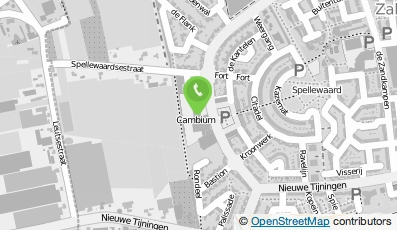 Bekijk kaart van St. Cambium College locatie Buys Ballot in Zaltbommel