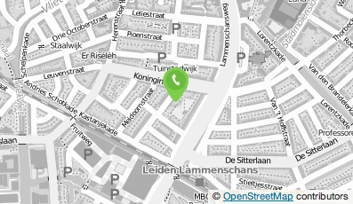 Bekijk kaart van Speeltuinvereniging Zuiderkwartier in Leiden