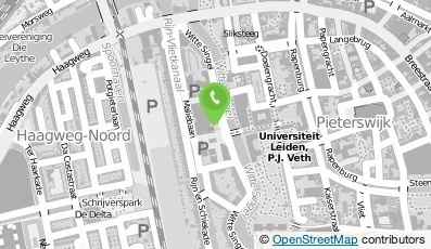 Bekijk kaart van Geesteswetenschappen, Archeologie en Bijzondere Collecties: Universiteitsbibliotheek in Leiden