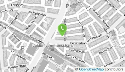 Bekijk kaart van Logica in Leiden