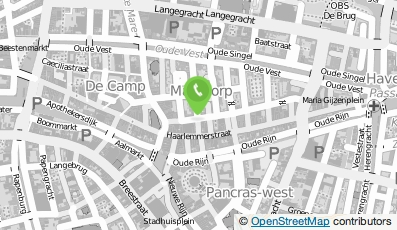 Bekijk kaart van Café Papillon in Leiden