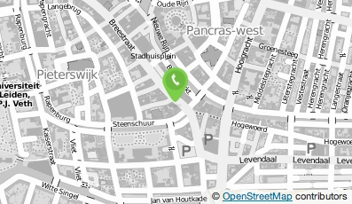 Bekijk kaart van Steakhouse/Grillroom De Sinai in Leiden