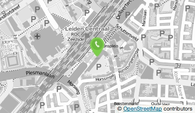 Bekijk kaart van Reanne van Kleef in Leiden