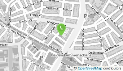 Bekijk kaart van Klussenbedrijf B. Veerman  in Leiden