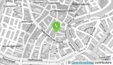Bekijk kaart van Green Papaya Thais specialiteiten restaurant in Haarlem