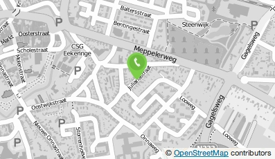 Bekijk kaart van Adrianne Rook in Steenwijk