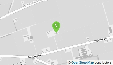 Bekijk kaart van Flierzicht Blondes in Den Ham (Overijssel)