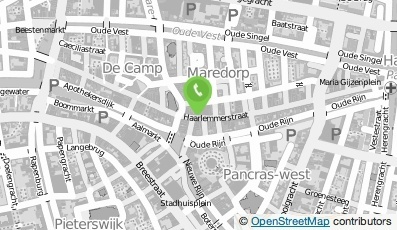 Bekijk kaart van Only in Leiden