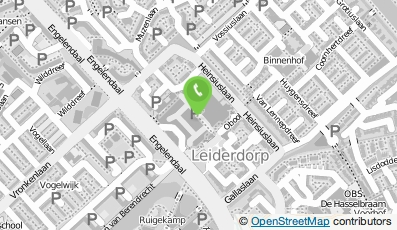 Bekijk kaart van V.O.F. Raffaello Vlaaien thodn MultiVlaai Leiderdorp in Leiderdorp