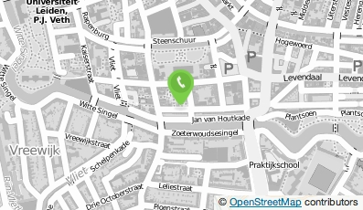Bekijk kaart van Webshaping in Leiden